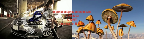 марки lsd Богородск