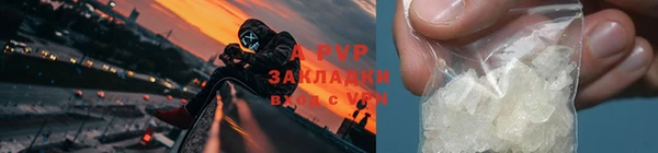 эйфоретик Верея