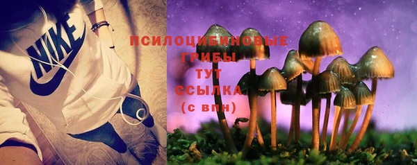 эйфоретик Верея