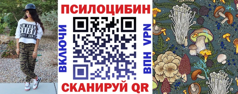 где найти наркотики  Карталы  Псилоцибиновые грибы MAGIC MUSHROOMS 